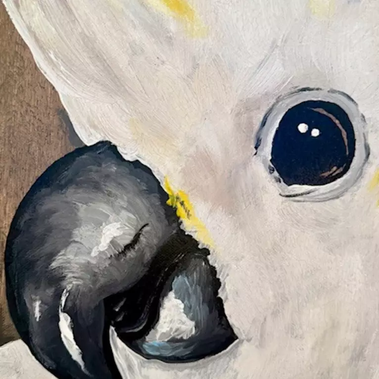 Close-up detail